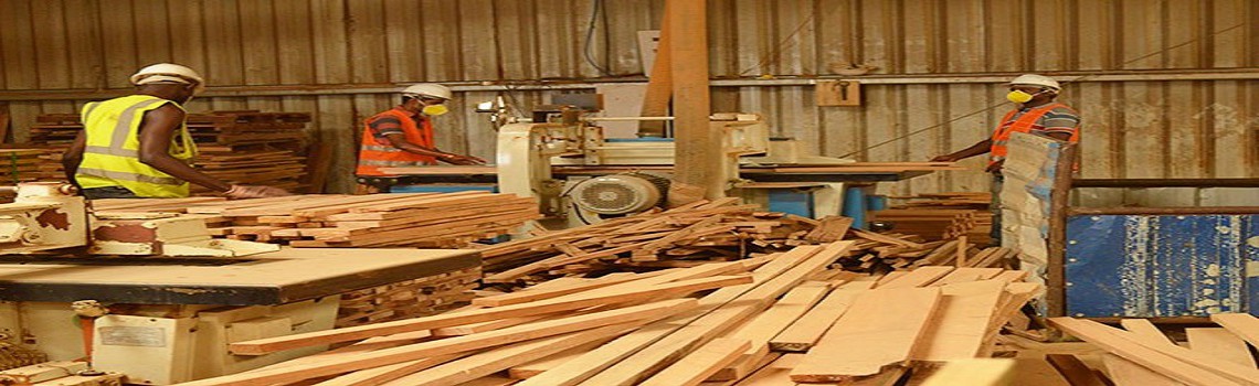 GABON: GSEZ lance la SGES